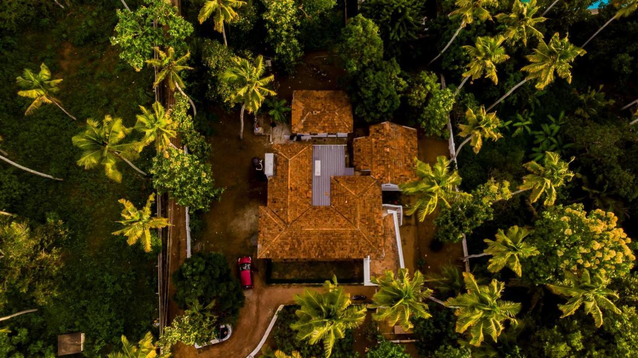 Piggy Hostel Варкала Экстерьер фото