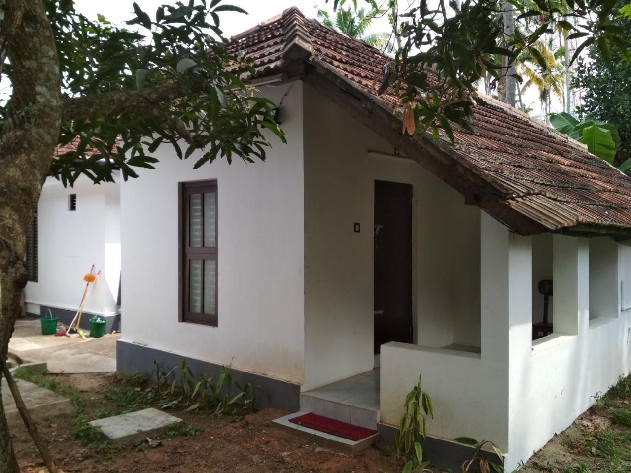 Piggy Hostel Варкала Экстерьер фото