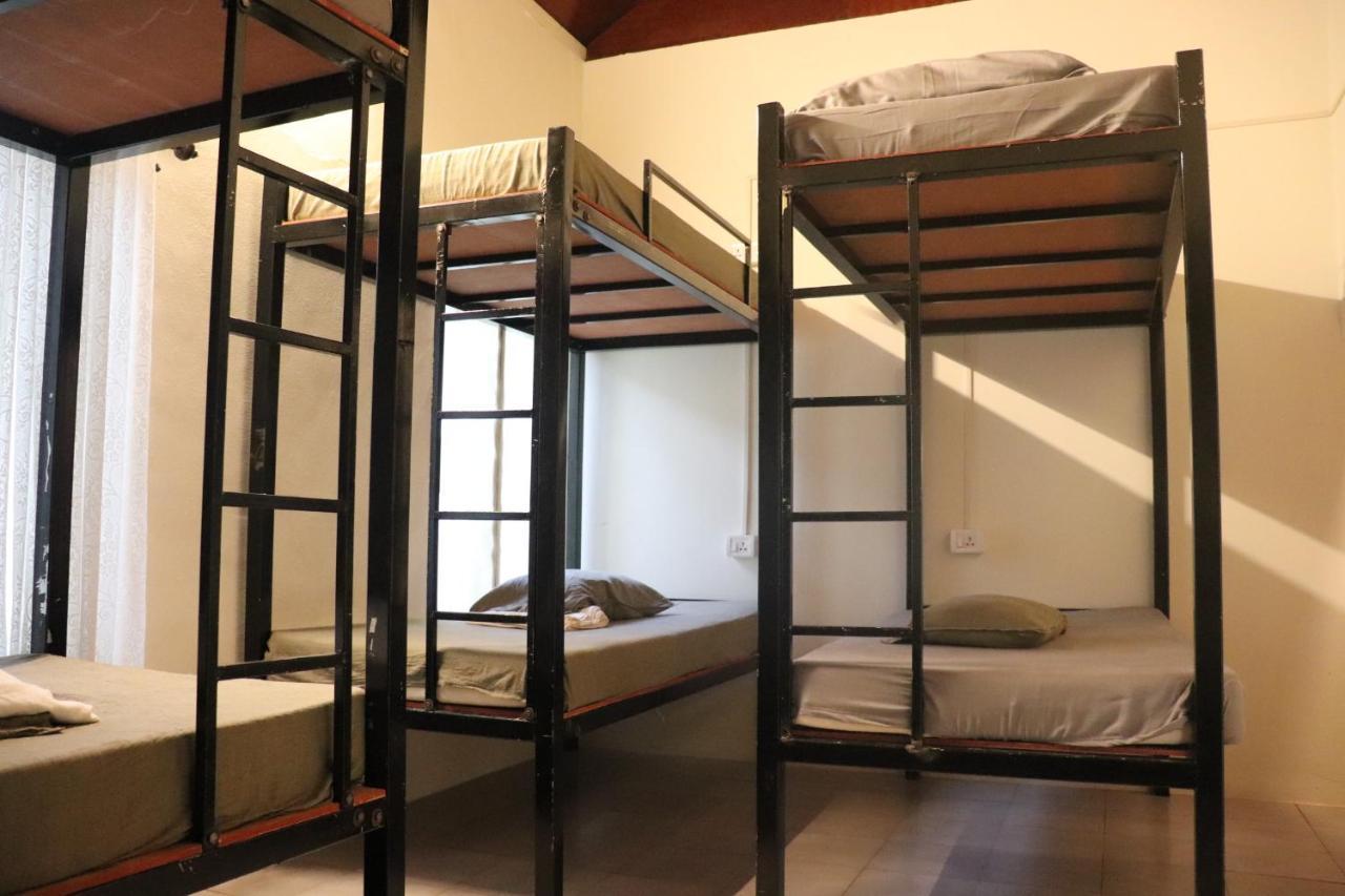 Piggy Hostel Варкала Экстерьер фото